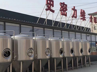 贺兰精酿啤酒设备厂—如何判断精酿啤酒设备的密封件需要更换？